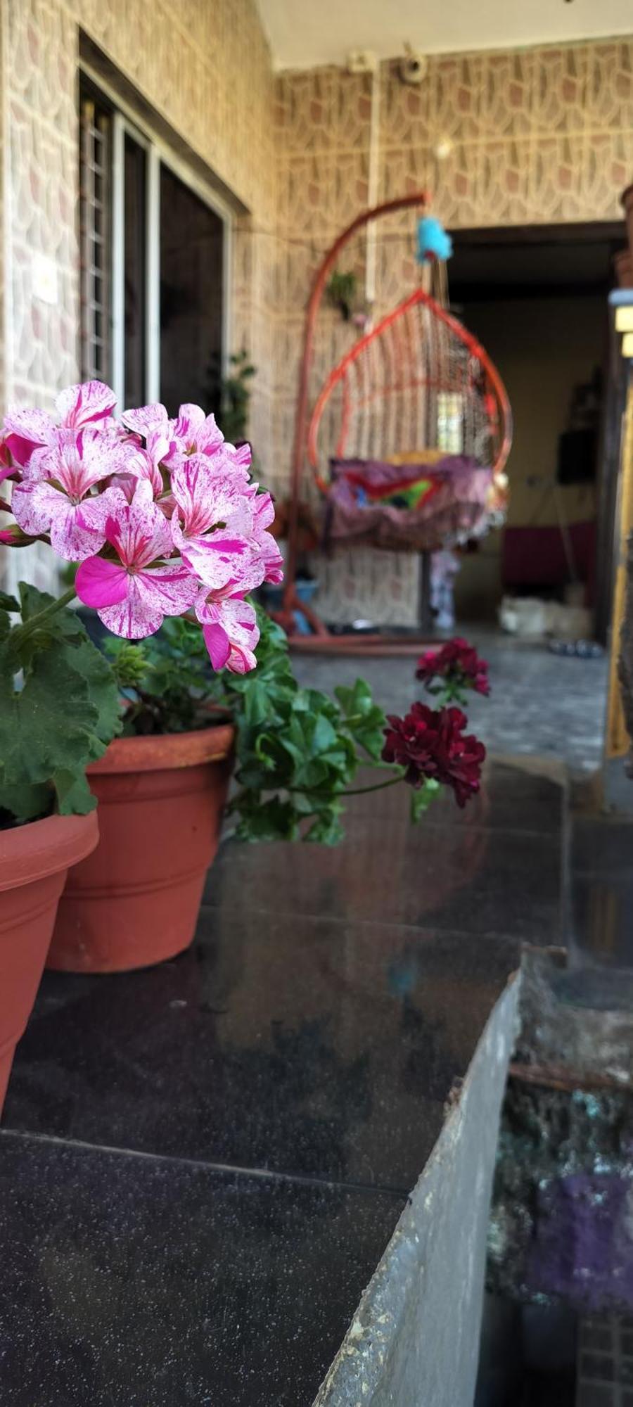 Royal Palm Homestay Madikeri Extérieur photo