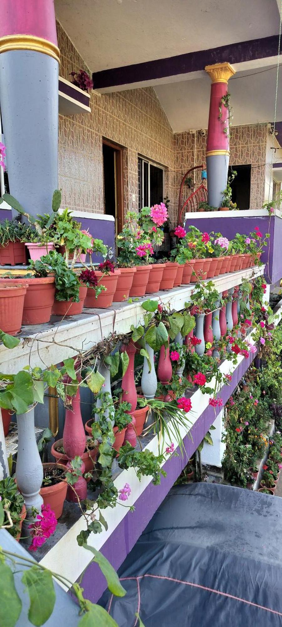 Royal Palm Homestay Madikeri Extérieur photo